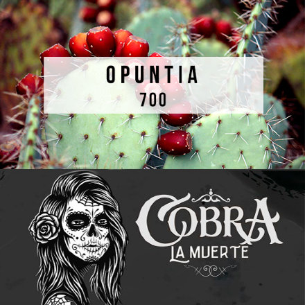 Купить Табак Cobra La Muerte Opuntia (Опунция) 40 гр