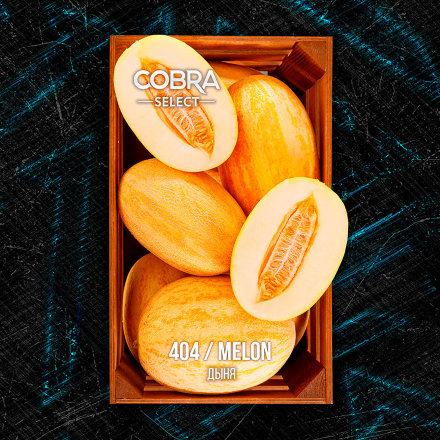 Купить Табак для кальяна Cobra Select Melon (Кобра Дыня Селект) 40г
