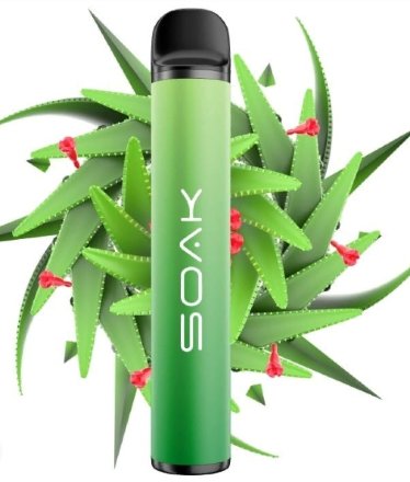 Купить SOAK X 1500 (Aloe vera/Алоэ вера) (M)