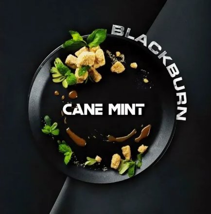 Купить Табак Black Burn Cane mint (Тростниковая мята) 100гр (М)