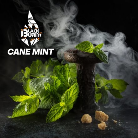 Купить Табак Black Burn Cane Mint (Перечная Мята) 100 гр.
