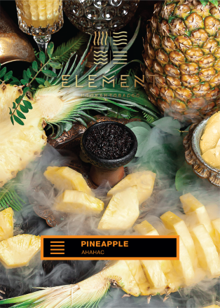 Купить Табак ELEMENT Земля Pineapple 40гр.