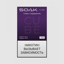 Электронная сигарета Soak Cube Black Plum Cardamon (Слива с Кардамоном) 7000 (M)