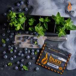 Табак Burn (Берн) Blueberry mint 100 гр.