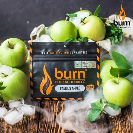 Купить Табак Burn (Берн) Famous apple100 гр.