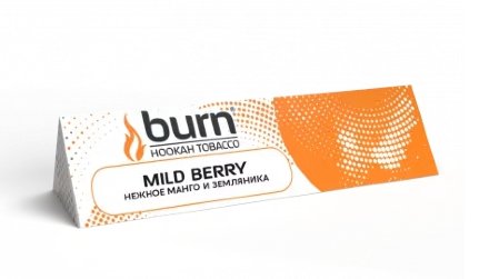 Купить Табак Burn Mild Berry  25 гр (М)