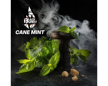 Купить Табак Burn (Берн) Cane mint 100 гр.