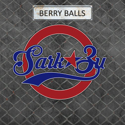 Табак для кальяна SarkoZy - Berry Balls (Ягодные Шарики) 20 г