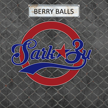 Купить Табак для кальяна SarkoZy - Berry Balls (Ягодные Шарики) 20 г