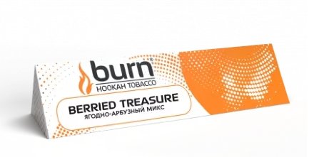 Купить Табак Burn Berried treasure  25 гр (М)