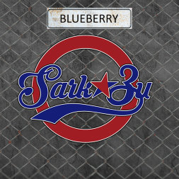 Табак для кальяна SarkoZy - Blueberry (Черника) 20 г