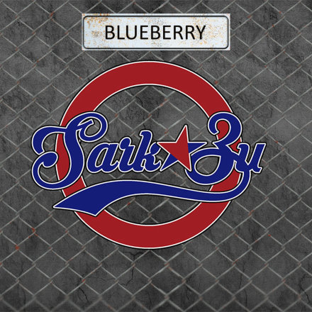 Купить Табак для кальяна SarkoZy - Blueberry (Черника) 20 г