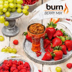 Табак Burn Berry mix 25 гр (М)