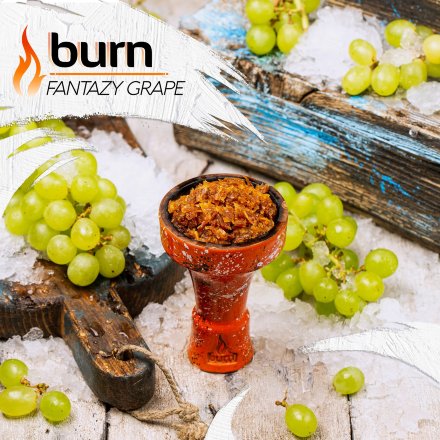Купить Табак BURN Fantazy grape 100 гр.(ледяной виноград)