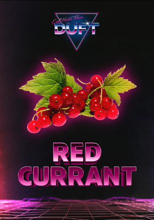 Купить Табак Duft Red Currant 100гр. (красная смородина)