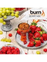 Табак BURN Berry mix 100 гр.(ягодный микс)