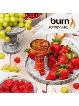 Купить Табак BURN Berry mix 100 гр.(ягодный микс)