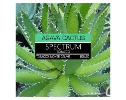 Spectrum (Спектрум)  Agava Cactus (Спектрум Агава Кактус) 100 гр