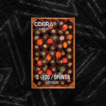 Купить Чайная смесь COBRA VIRGIN Opuntia 50гр