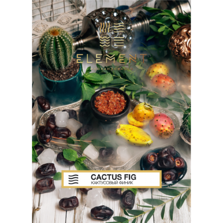 Купить Табак ELEMENT Воздух Cactus Fig 40гр.