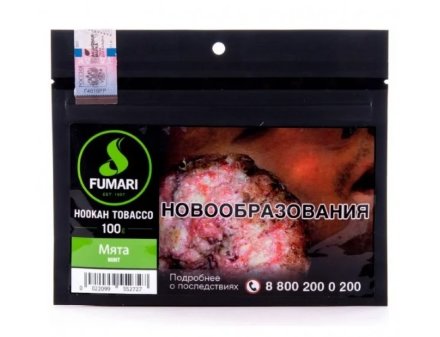 Купить Табак для кальяна FUMARI - MInt - 100GR (М)