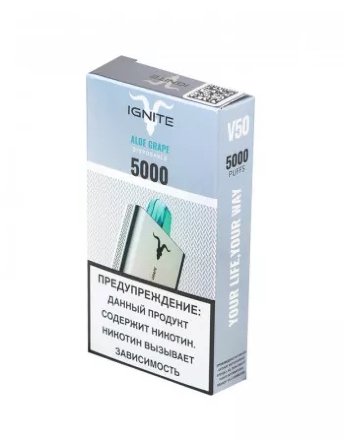 Купить IGNITE 5000 затяжек V2 (Ice mint) (M)
