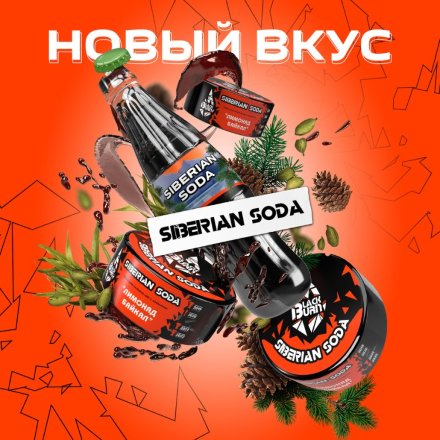 Купить Табак Black Burn Siberian Soda (Лимонад Байкал) 100гр (М)