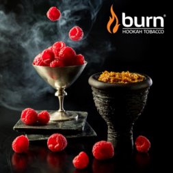 Табак Burn (Берн) Sweet raspberry 20 гр.