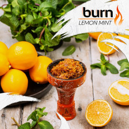 Табак BURN Lemon mint 100 гр.(лимон и мята)